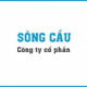 CÔNG TY CỔ PHẦN SÔNG CẦU